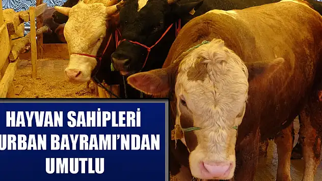 Hayvan sahipleri Kurban Bayramı'ndan umutlu 