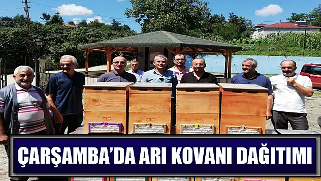 Çarşamba'da arı kovanı dağıtımı   