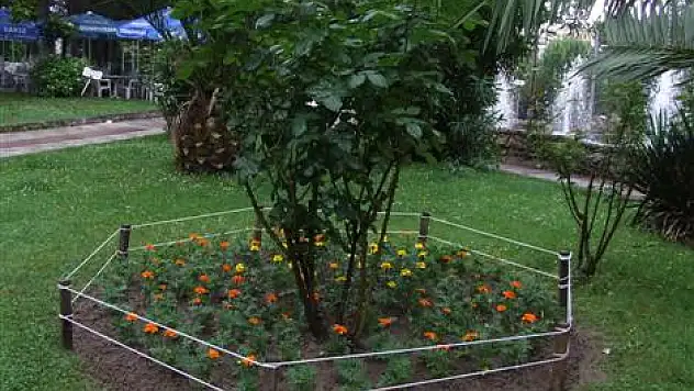 Park bahçe düzenlemesi başladı