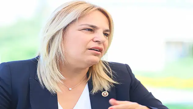 Vezirköprü'nün hastane çilesi Meclis gündeminde