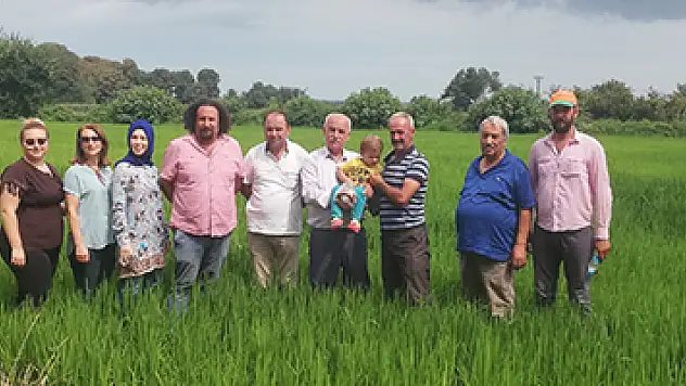 Damlama sulama ile çeltik ekiminde 70 su tasarrufu 