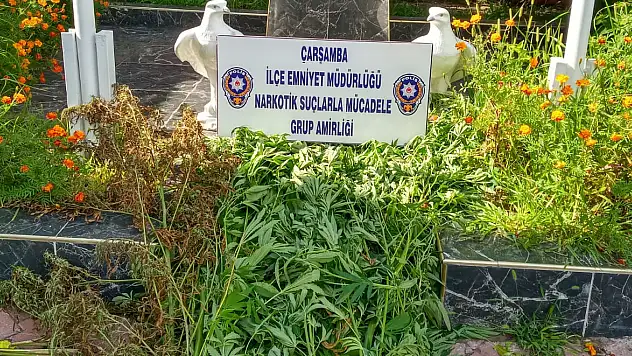 Çarşamba Emniyetinden uyuşturucu operasyonları