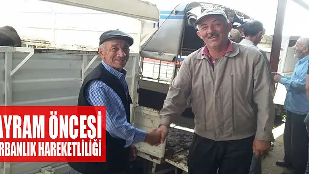 Bayram öncesi kurbanlık hareketliliği