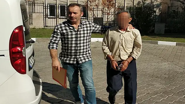 121 kök dişi Hint keneviri bitkisi ile yakalandı 