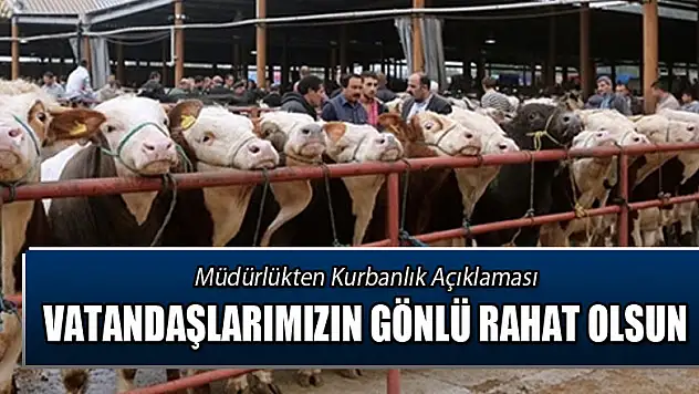 Tarım ve Orman İl Müdürlüğü: 'Vatandaşlarımız gönül rahatlığı ile kurbanlıklarını alabilirler' 