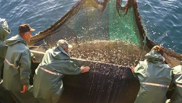 Samsun deniz avcılığının merkezi oldu