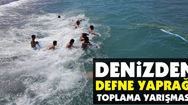 Denizden defne yaprağı toplama yarışması