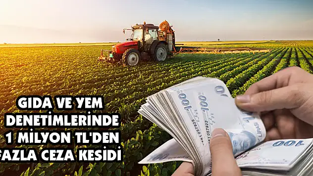 Gıda ve yem denetimlerinde 1 milyon TL'den fazla ceza kesildi 