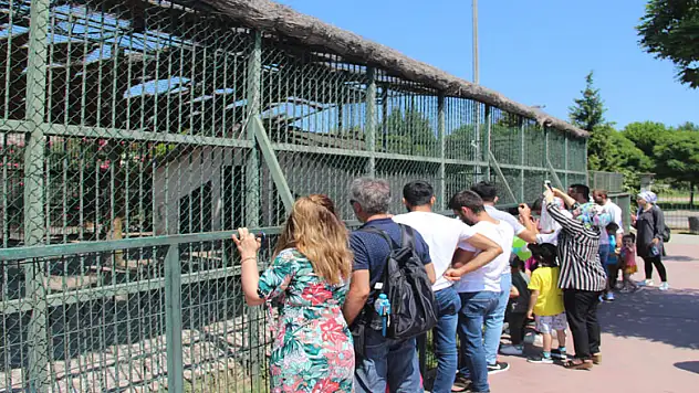 Bayramı gezerek ve eğlenerek değerlendirdiler