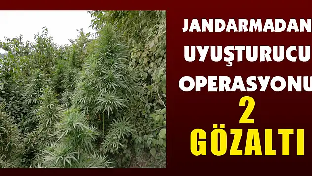 Jandarmadan uyuşturucu operasyonu: 2 gözaltı 