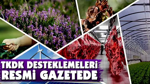 TKDK desteklemeleri Resmi Gazetede