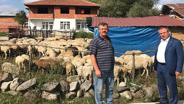 'VEBA MİKROBU DESTEĞİ HAYVAN DESTEĞİ OLAMAZ!'