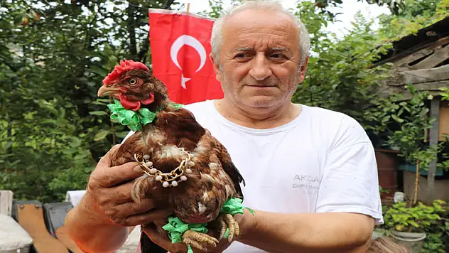 'Şaşkın' tavuğa 13. doğum günü kutlaması