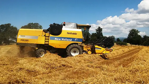 Samsun'da Buğday Hasadı Sona Erdi