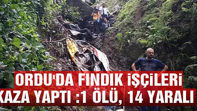 Ordu'da fındık işçileri kaza yaptı :1 ölü, 14 yaralı  