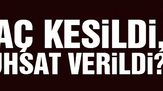 Hancıoğlu: 'Kaç ağaç kesildi, kimlere ruhsat verildi?'