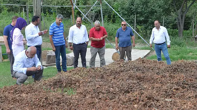 Üreticiler tapusuz fındık alanlarının çözüme kavuşmasını istiyor   