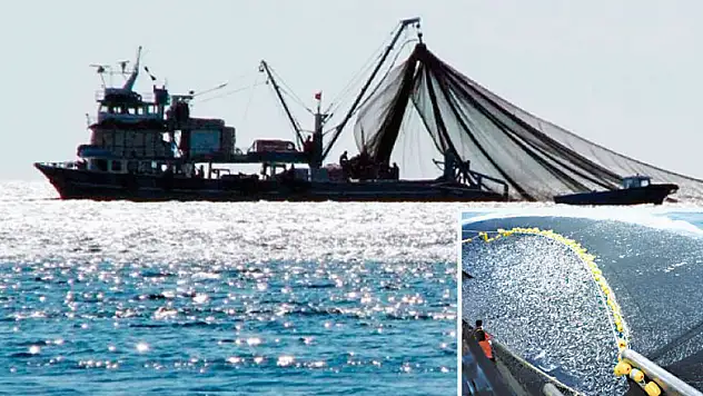 Denizlerde av yasağı sona eriyor 