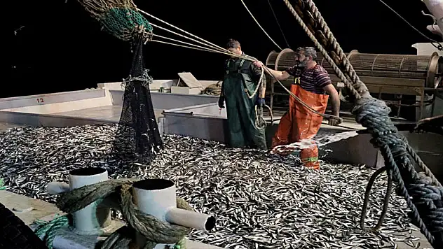 Balıkçılar denizden 120 kasa istavritle döndü