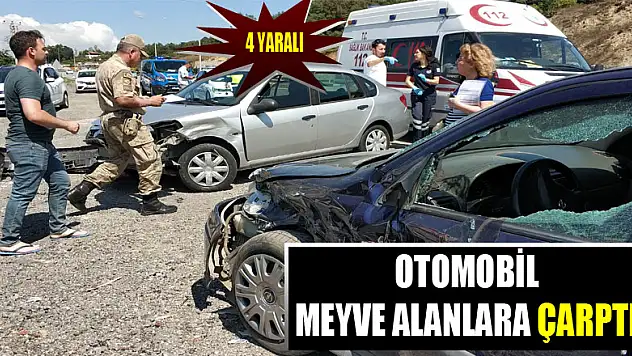 Otomobil meyve alanlara çarptı: 4 yaralı