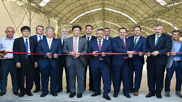 Japonlardan Bafra'ya tarım yatırımı 