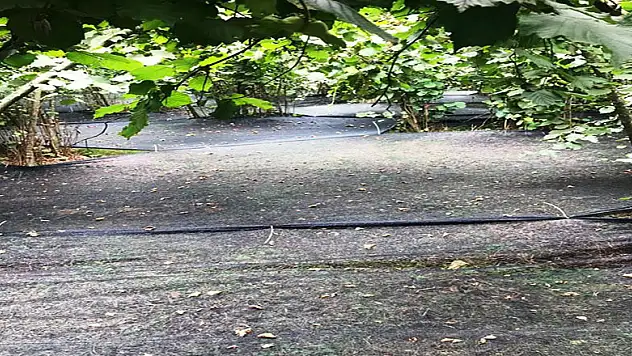 Bu yöntem maliyeti yüzde 70, karı yüzde 3 artırdı