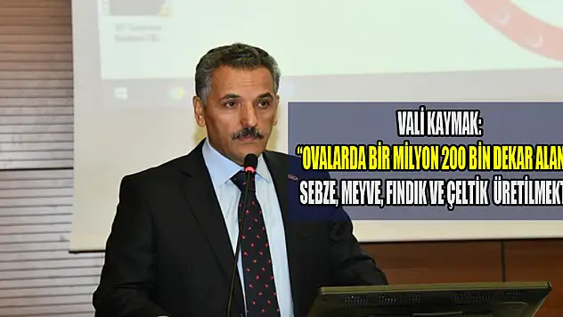 Vali Kaymak: 'Ovalarda bir milyon 200 bin dekar alanda sebze, meyve, fındık ve çeltik üretilmekte'  