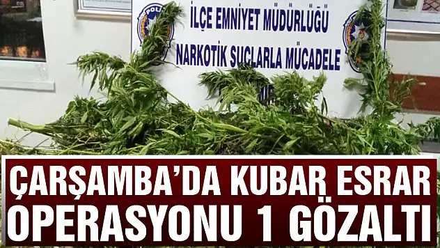 Çarşamba'da Kubar Esrar operasyonu: 1 Gözaltı