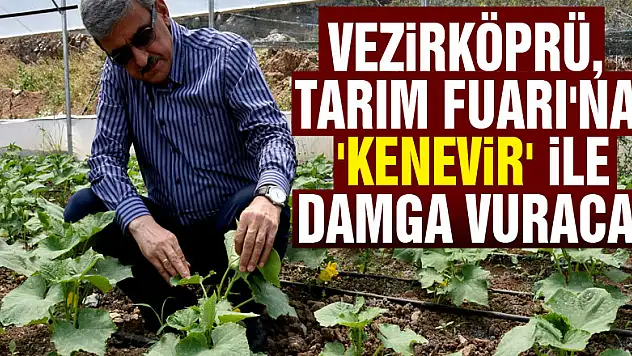Vezirköprü, Tarım Fuarı'na 'kenevir' ile damga vuracak