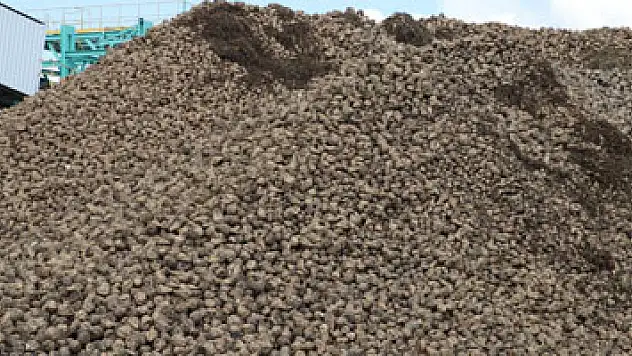 Amasya'da 66. pancar alım kampanyası başladı  