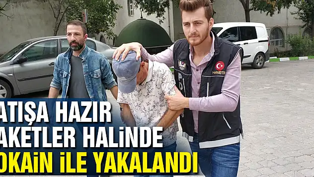 Satışa hazır paketler halinde kokain ile yakalandı