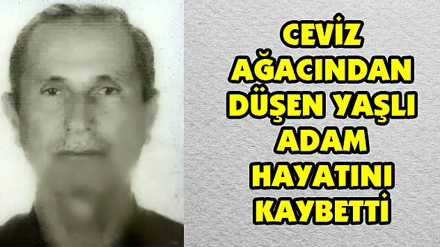 Ceviz ağacından düşen yaşlı adam hayatını kaybetti