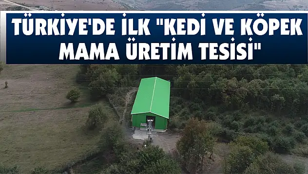 Türkiye'de ilk 'Kedi ve Köpek Mama Üretim Tesisi'