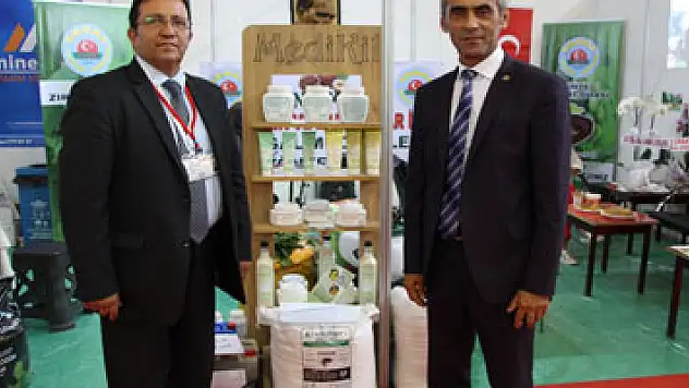 Fındıkta aflatoksin ve küllemeye doğal çözüm: 'Bentonit'