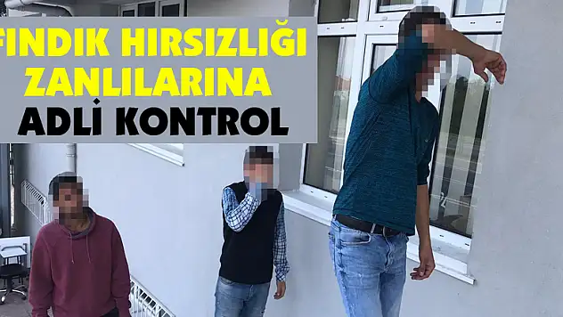 Fındık hırsızlığı zanlılarına adli kontrol