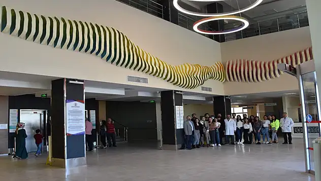 Diş Hekimliği Fakültesine 'sanatsal' süsleme