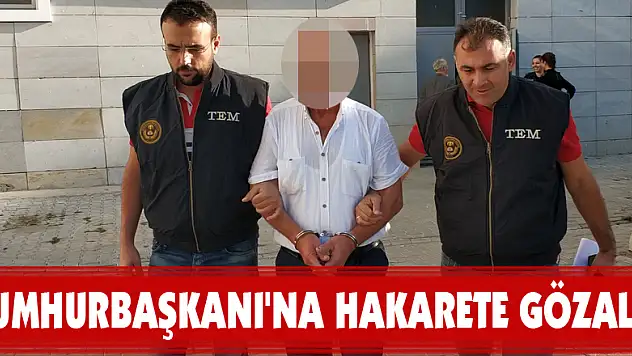 Cumhurbaşkanı'na hakarete gözaltı