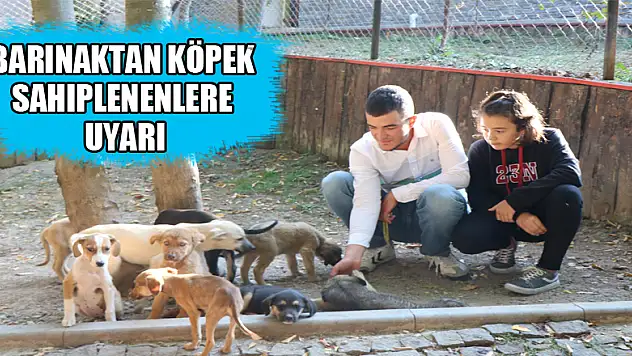 Barınaktan köpek sahiplenenlere uyarı