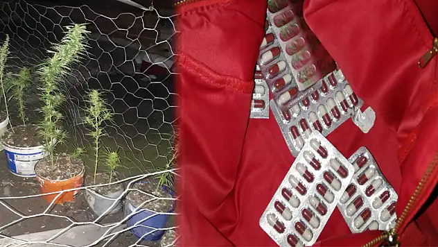 Narkotik polisinden uyuşturucu uygulaması: 11 gözaltı