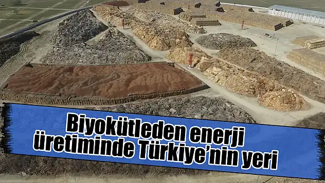 Biyokütleden enerji üretiminde Türkiye'nin yeri