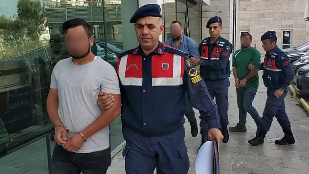 İnek hırsızları jandarma tarafından yakalandı