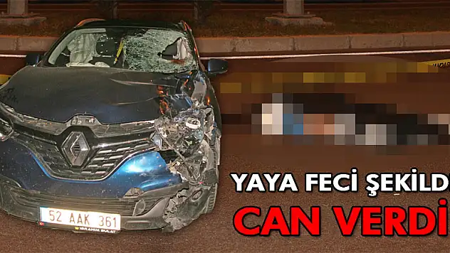 Yaya feci şekilde can verdi