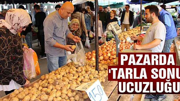 Pazarda 'tarla sonu' ucuzluğu