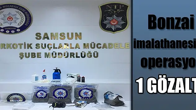 Samsun'da bonzai imalathanesine operasyon: 1 gözaltı