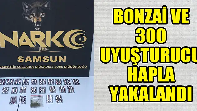 Bonzai ve 300 uyuşturucu hapla yakalandı