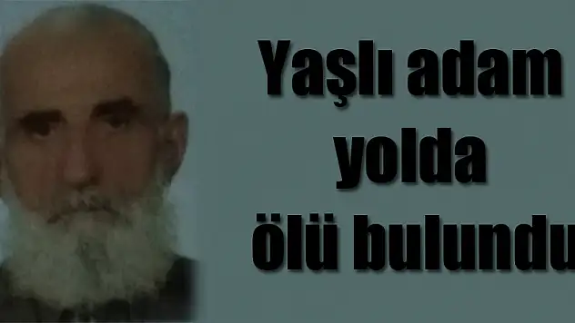 Yaşlı adam yolda ölü bulundu