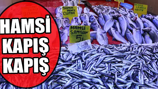 Samsun'da kilosu 5 liraya düşen hamsi kapış kapış