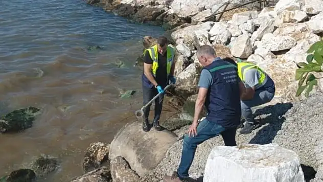 72 işletmeye ceza yağdı