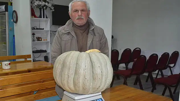30 kiloluk kabak yetiştirdi