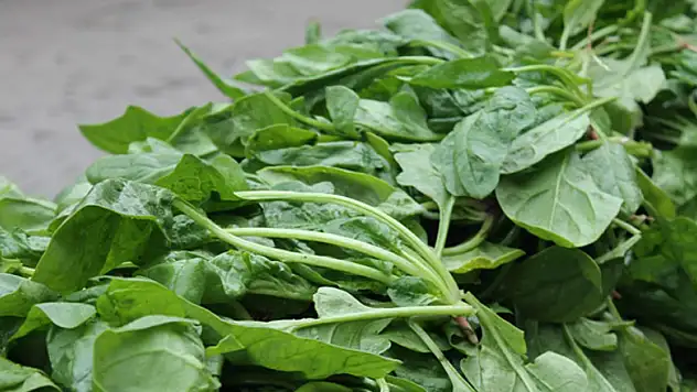 İstanbul İl Tarım ve Orman Müdürlüğünden ıspanak zehirlenmelerine ilişkin açıklama